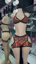 Wildfire Money Set